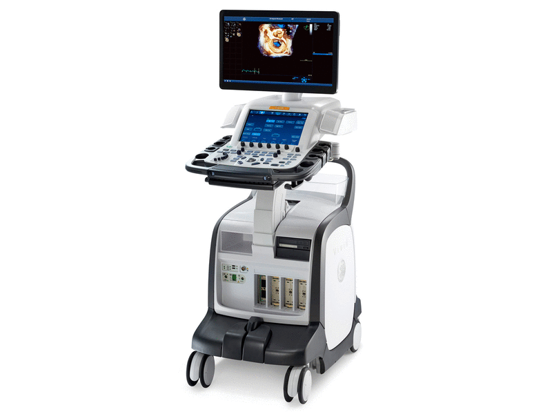GE VIVID E95